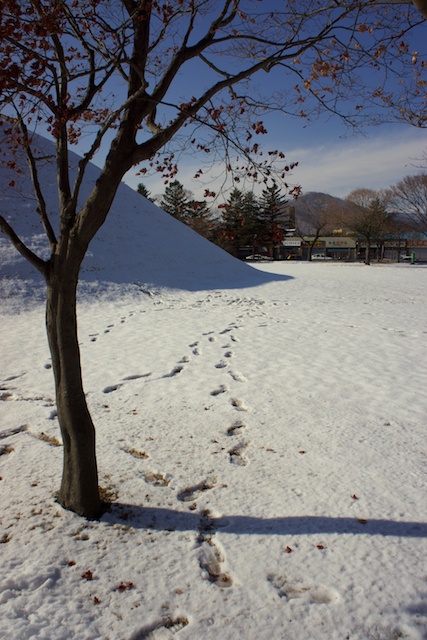 경주여행